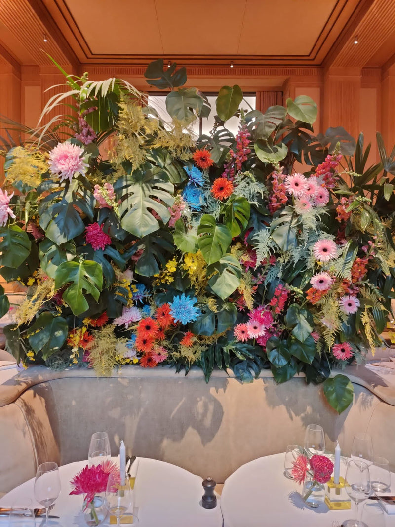 ELEPHANT DRUNK (OCTOBRE 2022) DEBEAULIEU