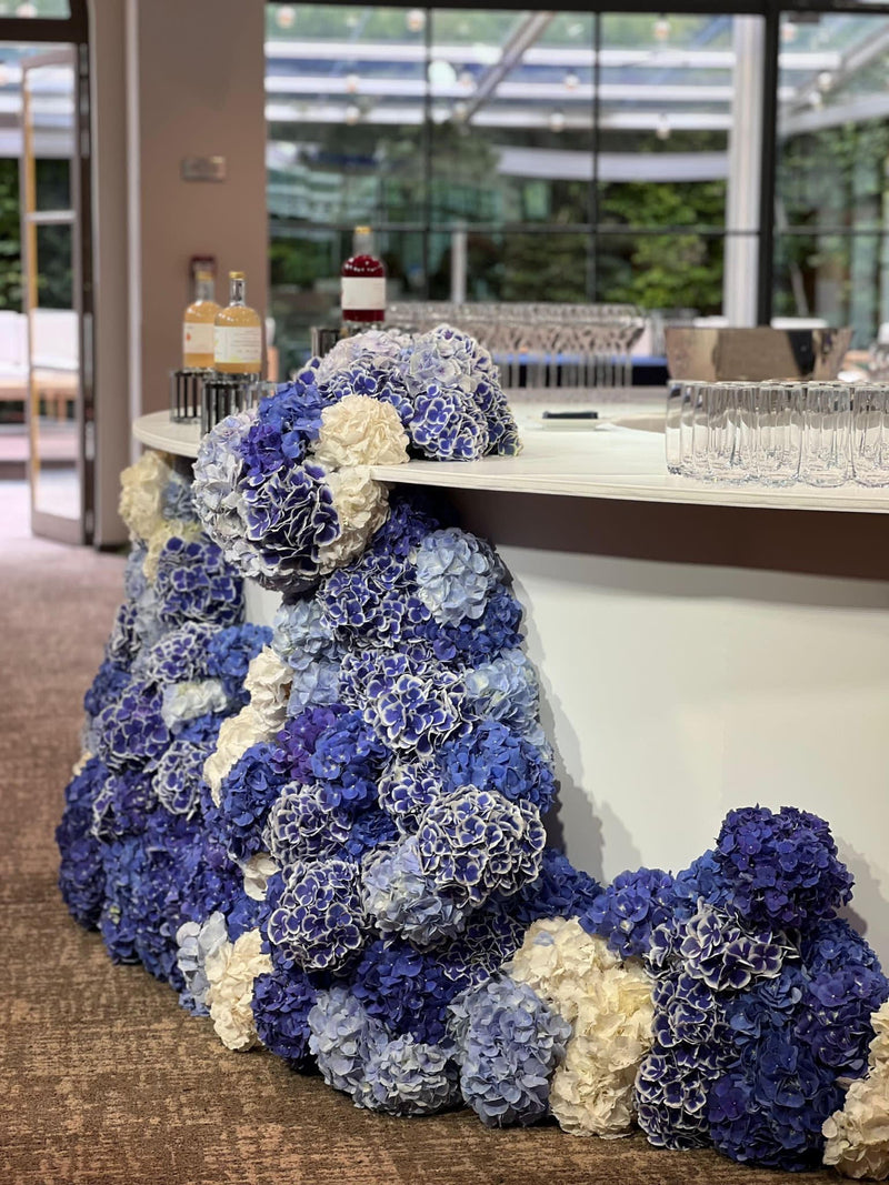 MARIAGE (JUIN 2023) DEBEAULIEU