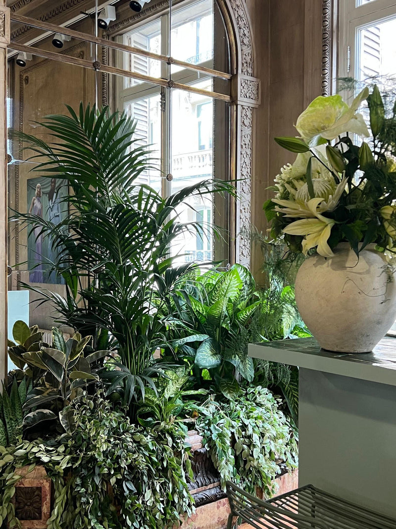 NINA RICCI (JUIN 2023) DEBEAULIEU