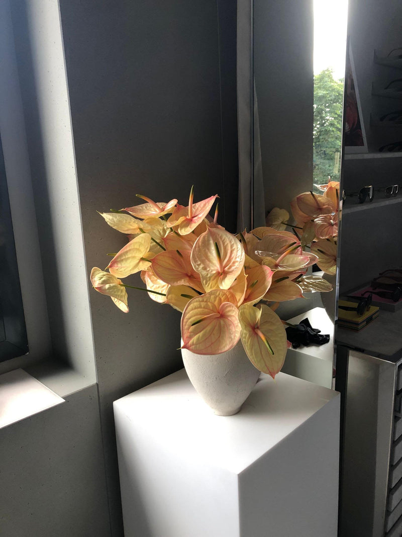 THELIOS (JUIN 2023) DEBEAULIEU