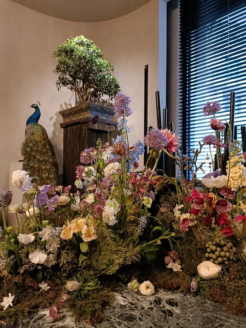 VILLA EUGENIE (FEVRIER 2023) DEBEAULIEU