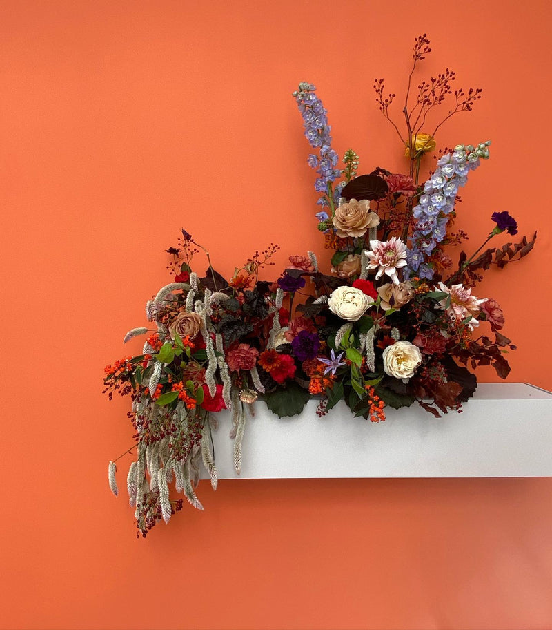 VILLA NOAILLE, HYERES (OCTOBRE 2022) DEBEAULIEU