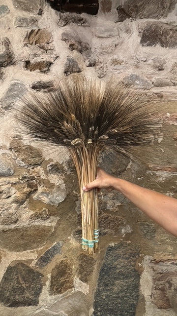 botte épi de blé DEBEAULIEU