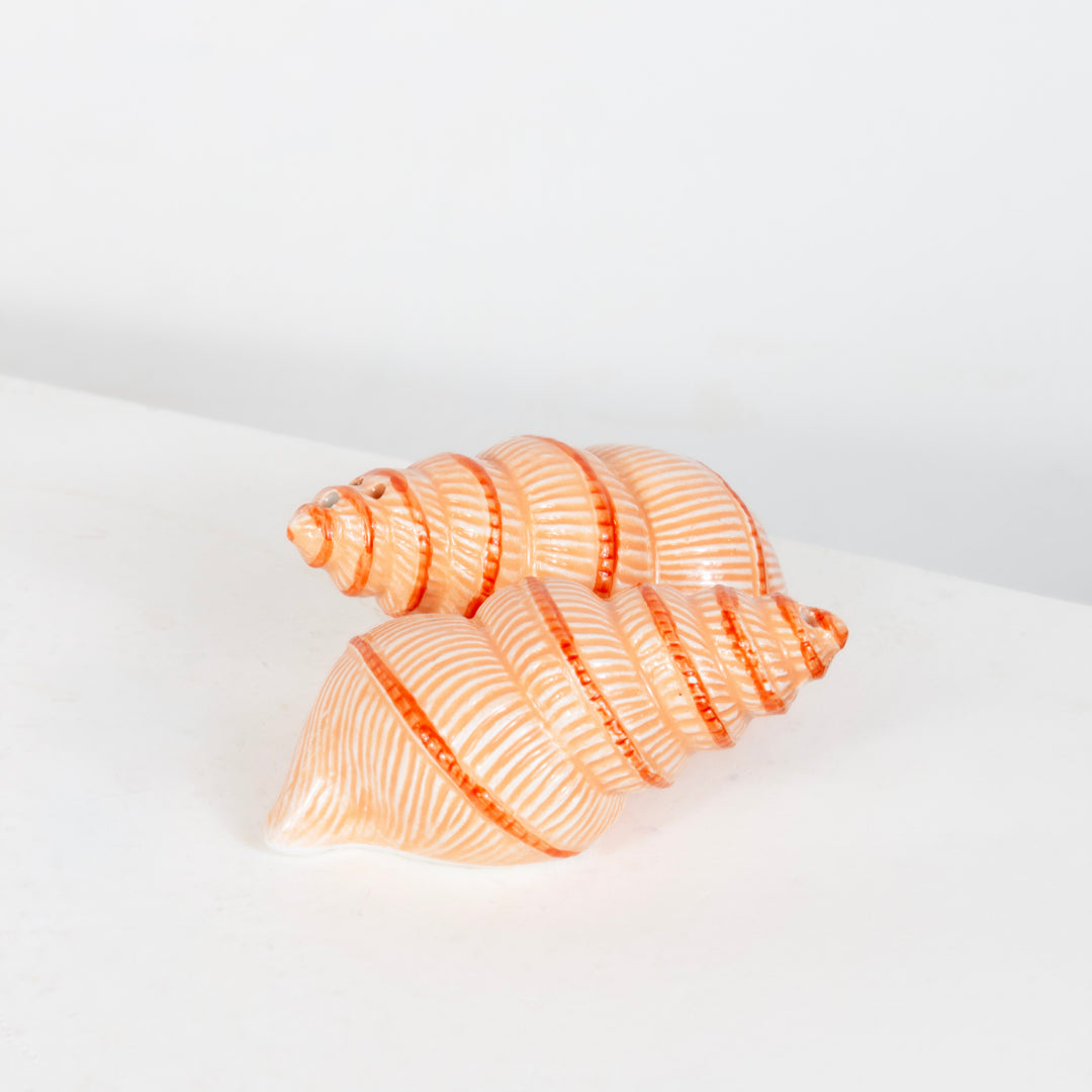 Coquillage saleron (Copie) DEBEAULIEU PARIS