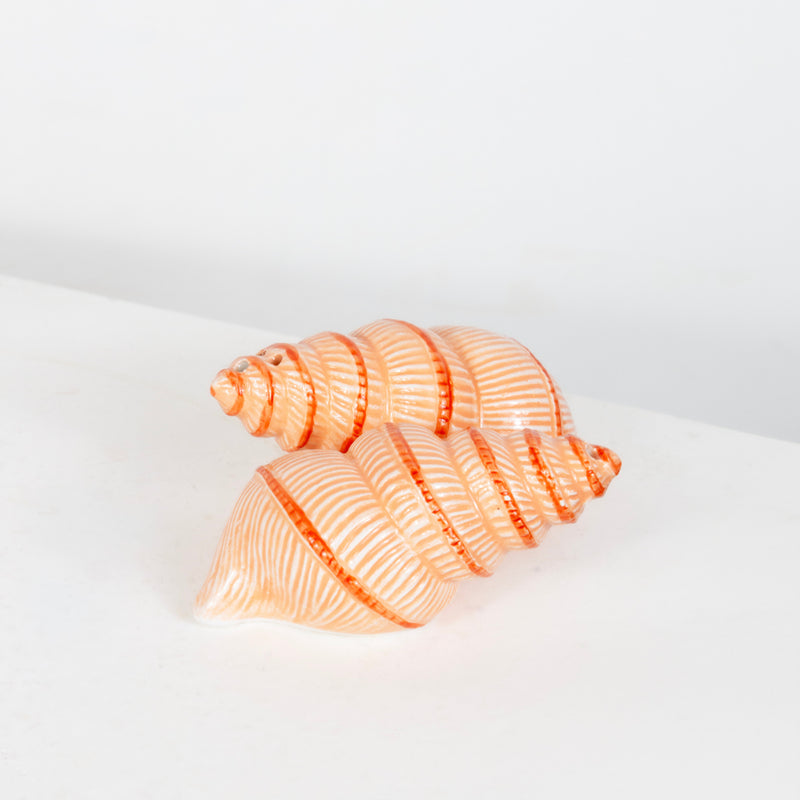 Coquillage saleron (Copie) DEBEAULIEU PARIS