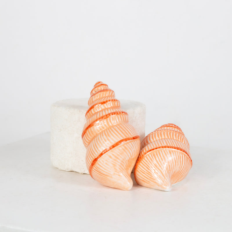 Coquillage saleron (Copie) DEBEAULIEU PARIS