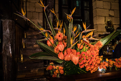 DîNER FASHION WEEK (JANV 19)