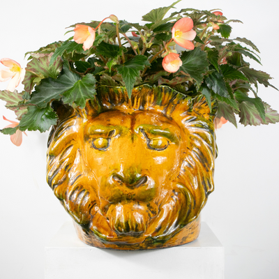 Lion cache pot DEBEAULIEU