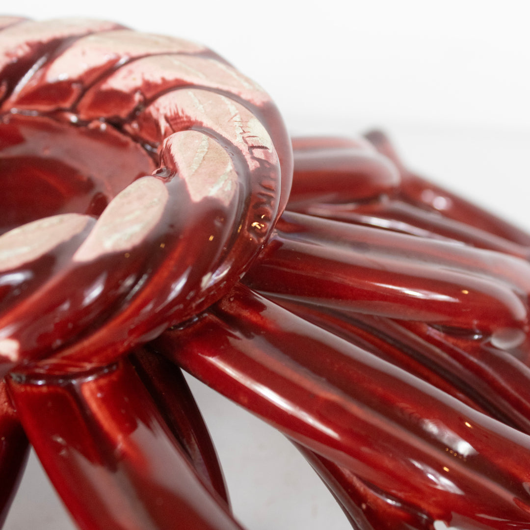 Coupe tournesol  VALLAURIS DEBEAULIEU