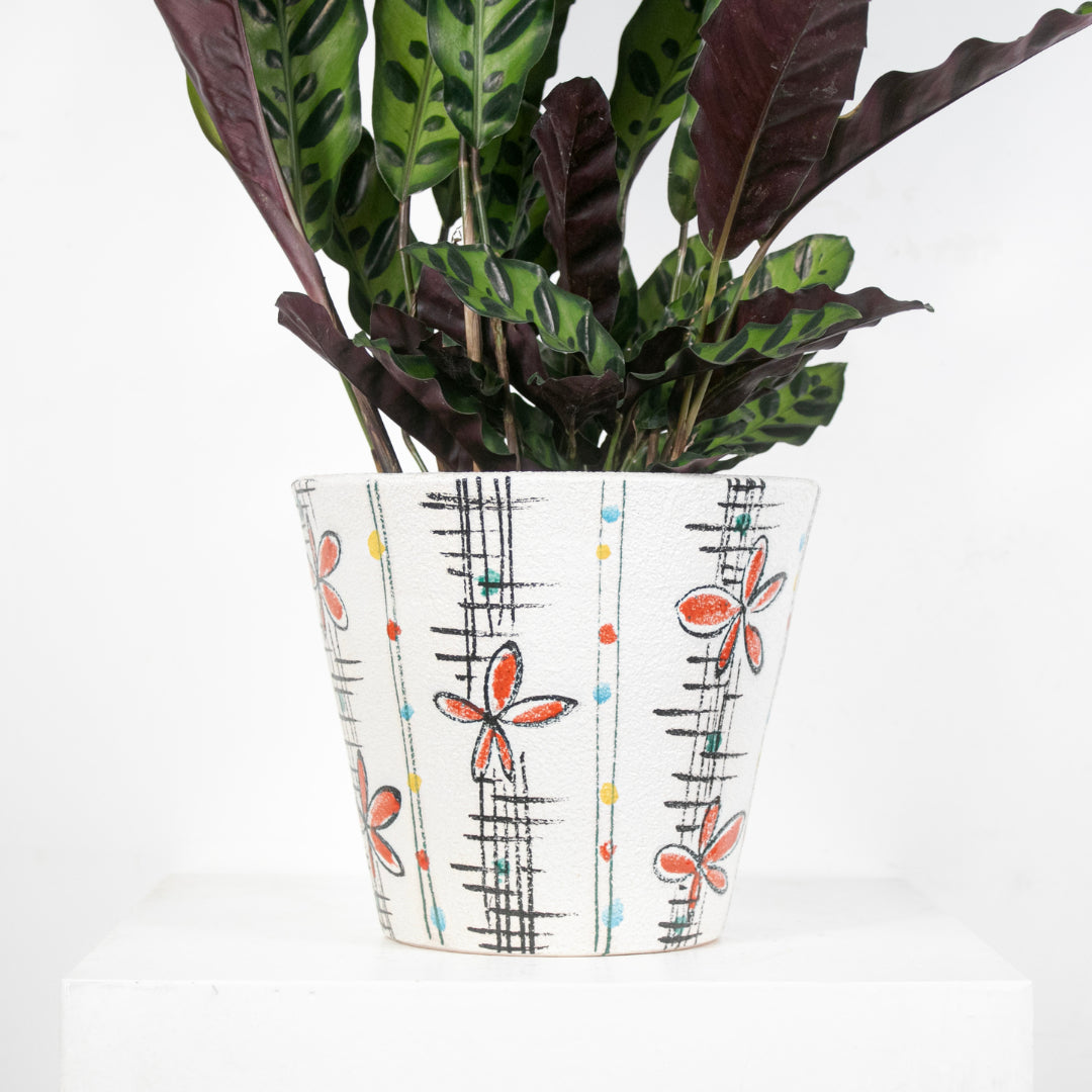 Cache pot Italy DEBEAULIEU