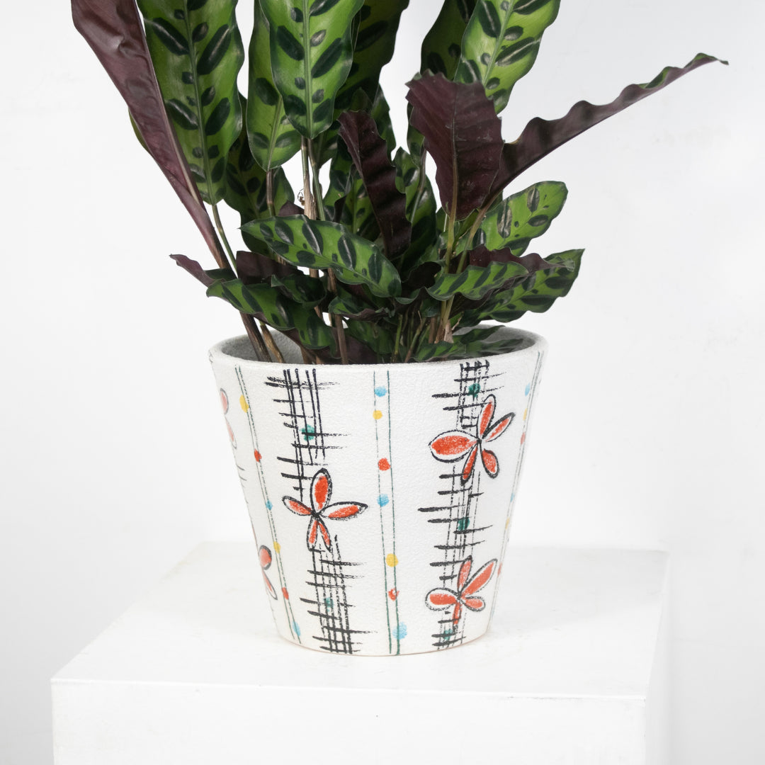 Cache pot Italy DEBEAULIEU