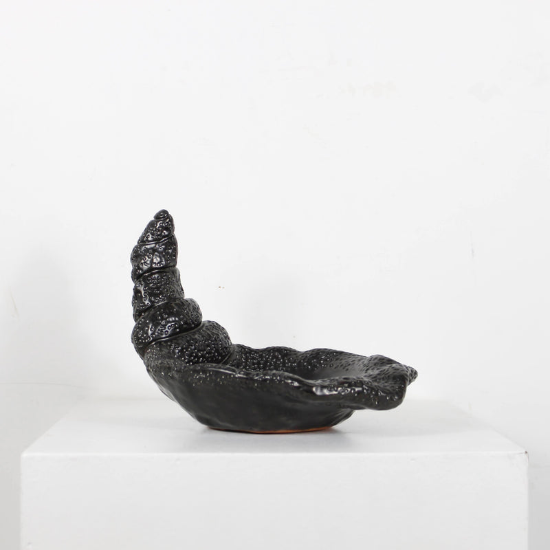 Coupe Jean Marais DEBEAULIEU