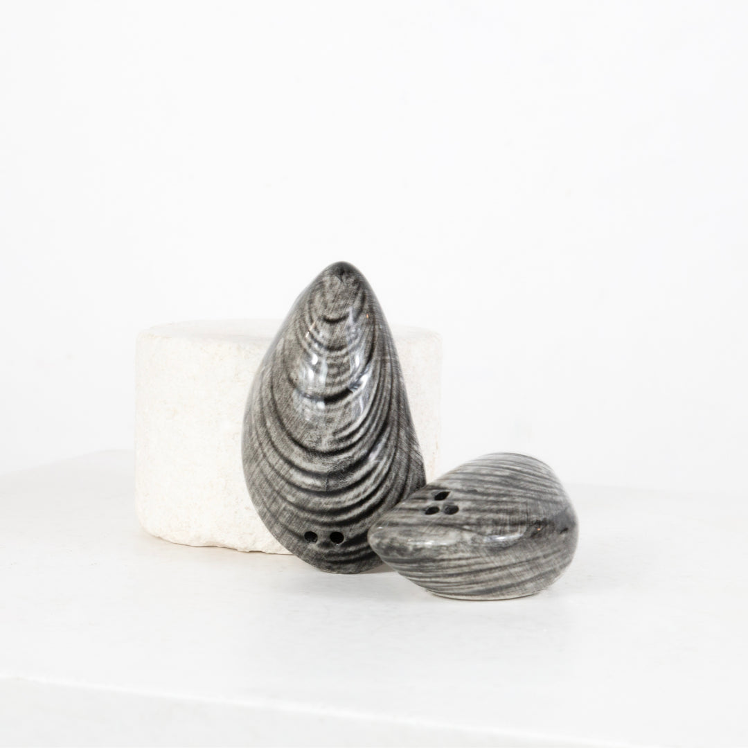 Saleron Moule DEBEAULIEU PARIS