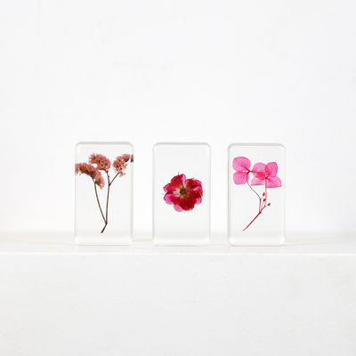 Inclusions Fleurs séchées