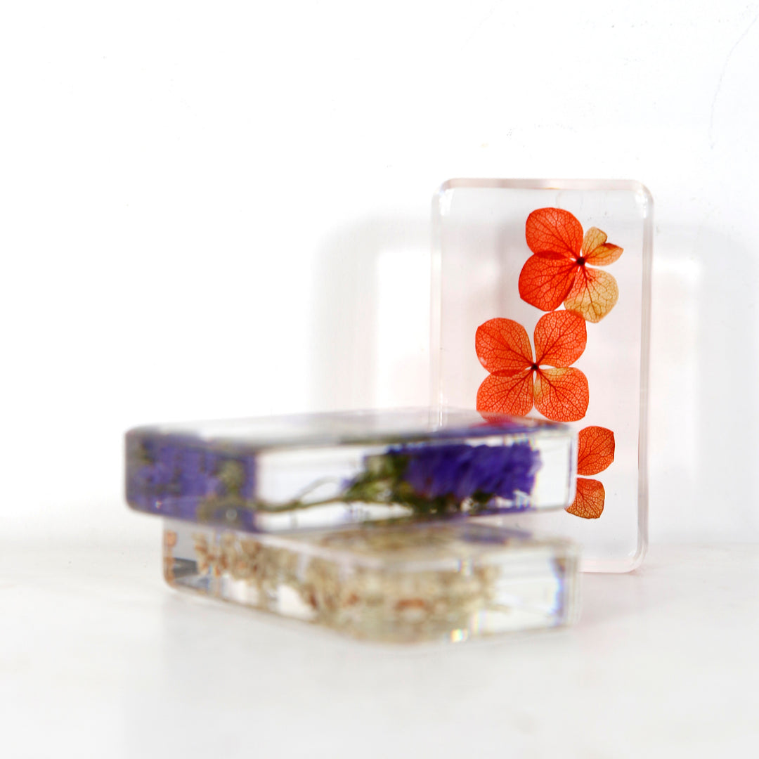 Inclusion Fleurs séchées