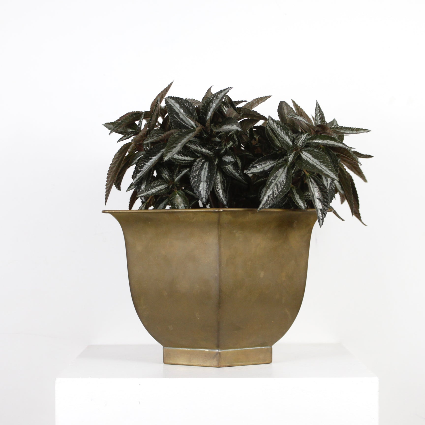 Cache-pot DEBEAULIEU