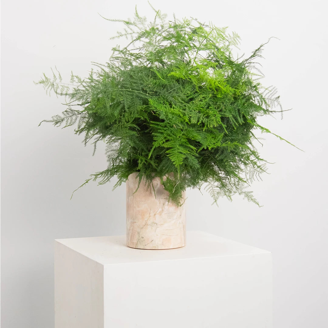 Vase en Onyx Rose Versmissen