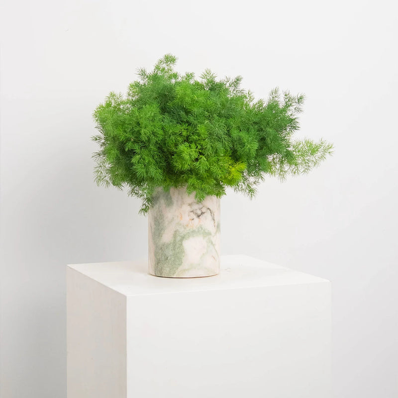 Vase en Onyx Blanc Versmissen