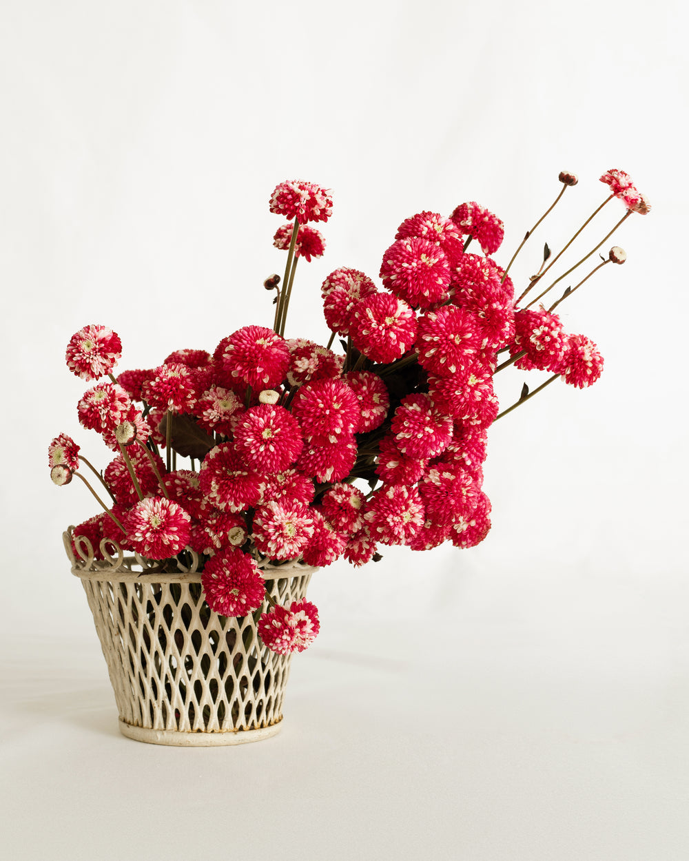 Commander des fleurs