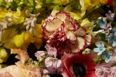Composez votre bouquet (Copie) DEBEAULIEU PARIS
