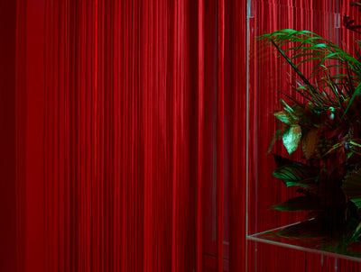 NIKE (Février 2018)