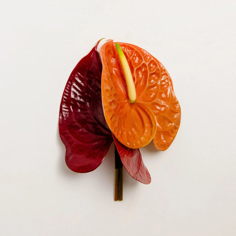 Broche Florale Hator DEBEAULIEU