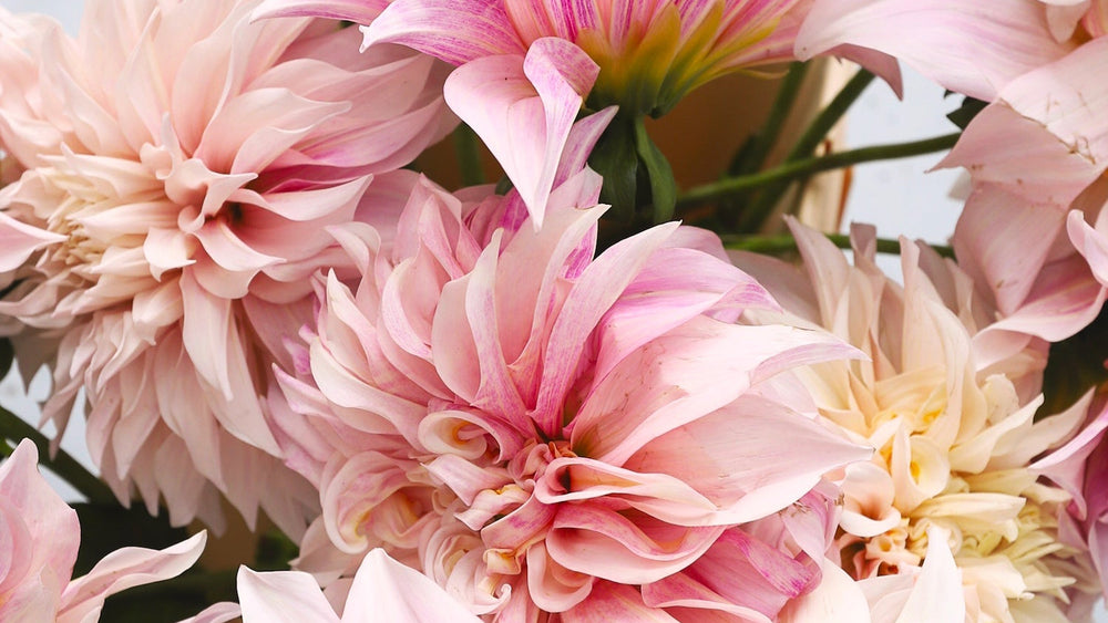 Commander des fleurs