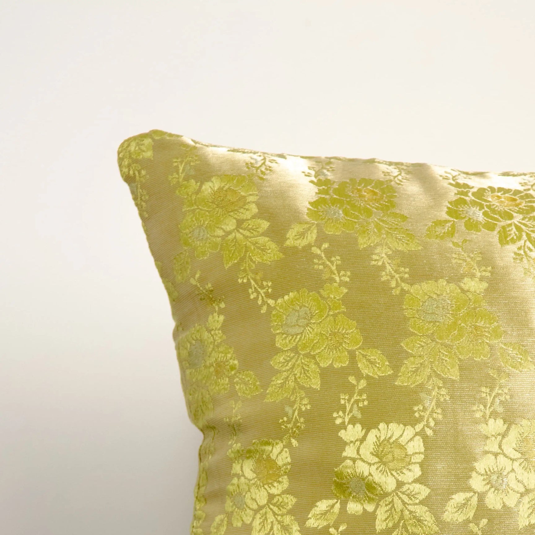 Coussins en Soie Indienne