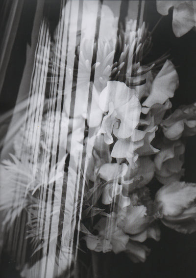 OPEN TALENT- Fanzine Bande Organisée (Février 2018)