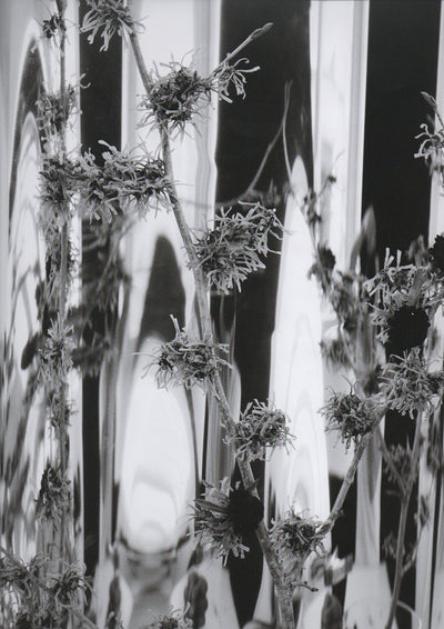 OPEN TALENT- Fanzine Bande Organisée (Février 2018)