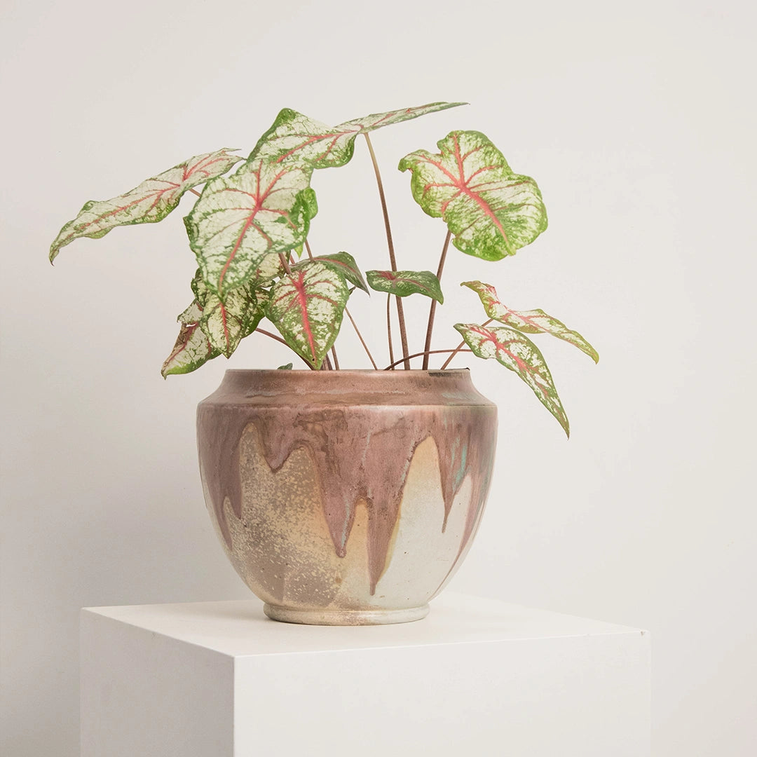 Cache-Pot en Céramique Émaillée Signé C.GREBER DEBEAULIEU