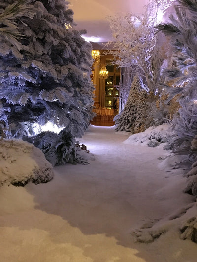 CHAUMET Noël  (Dec 2018)