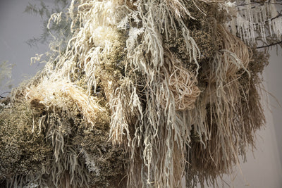 NUAGE VEGETAL (Janvier 2018)