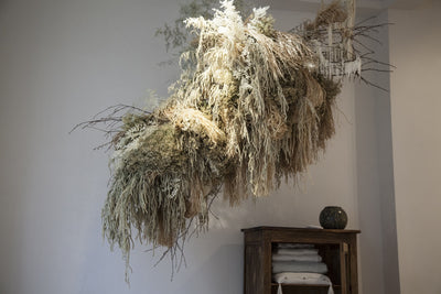 NUAGE VEGETAL (Janvier 2018)