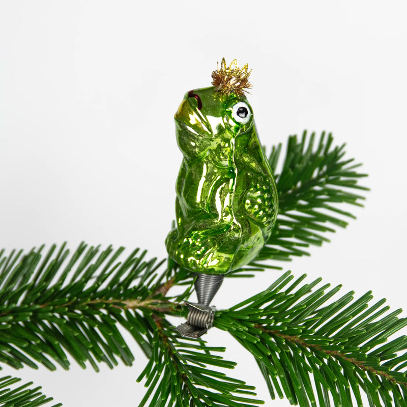 Grenouille sur un clip Nostalgie