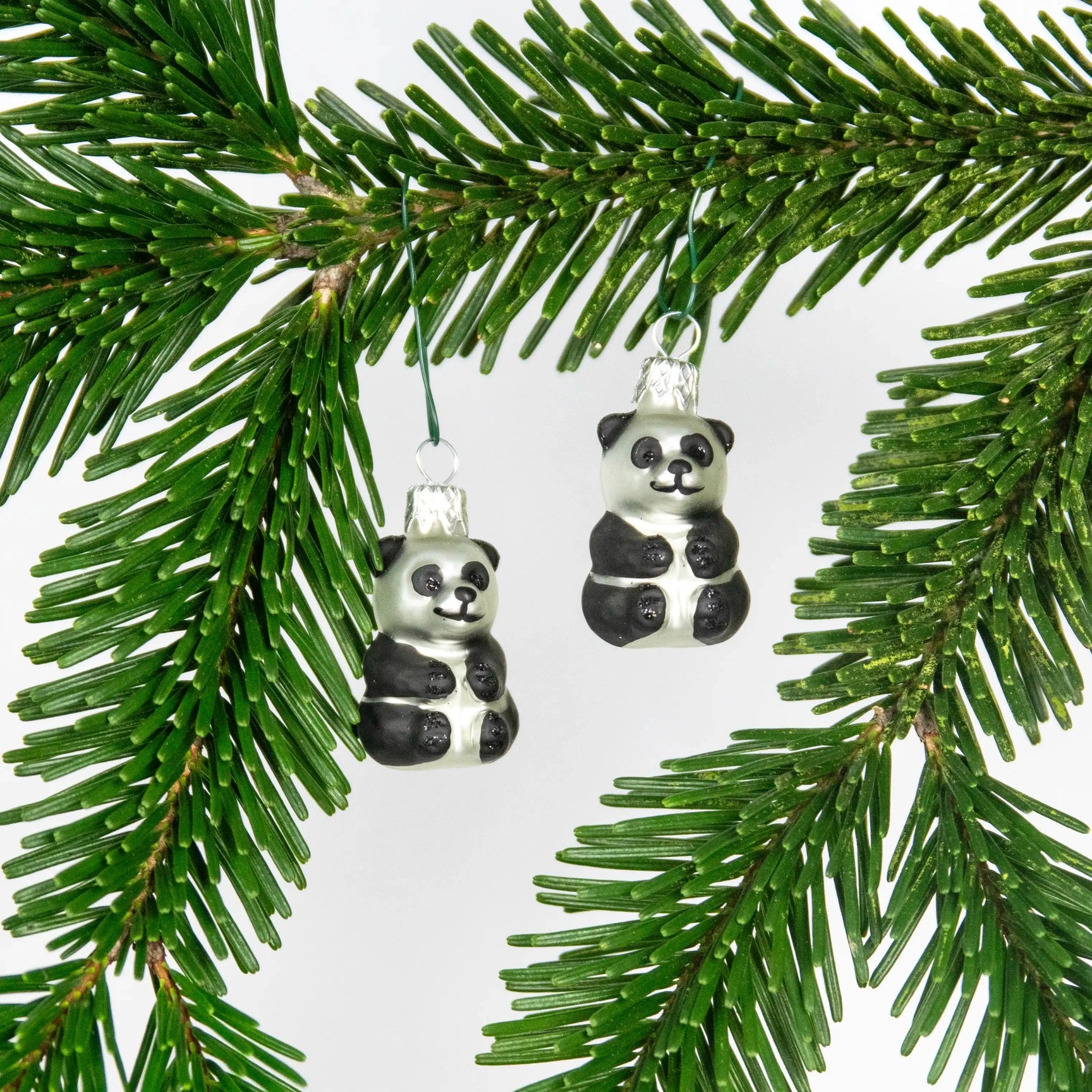 Mini Panda Nostalgie