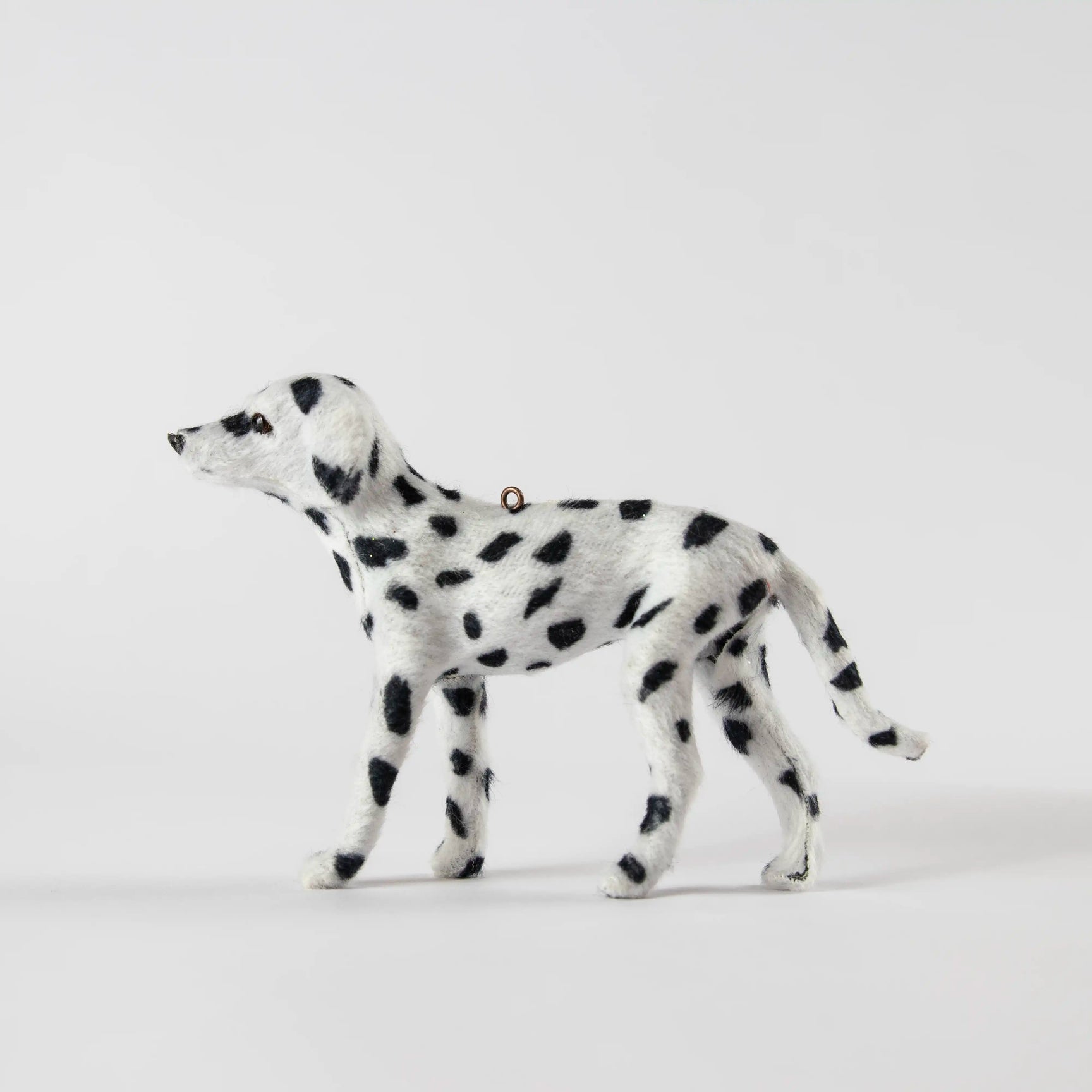 Dalmatien Shishi
