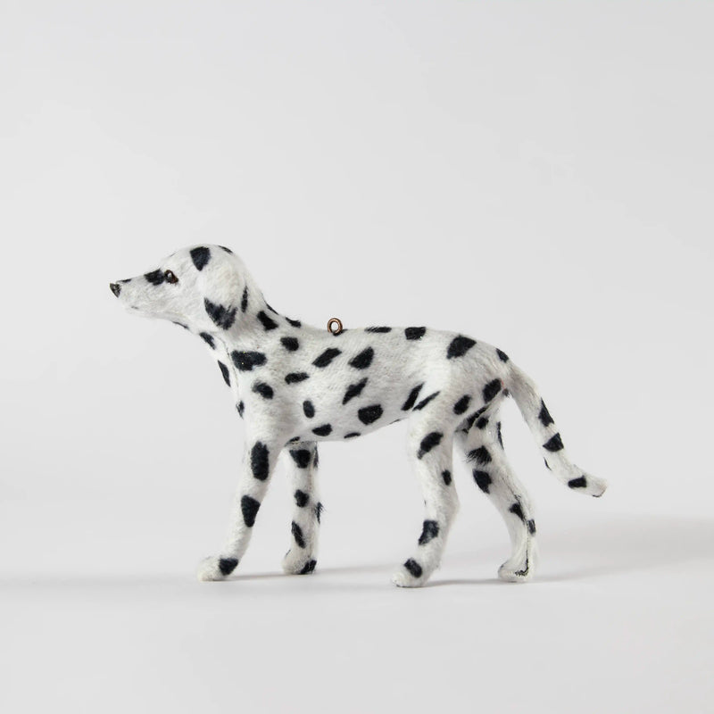 Dalmatien Shishi