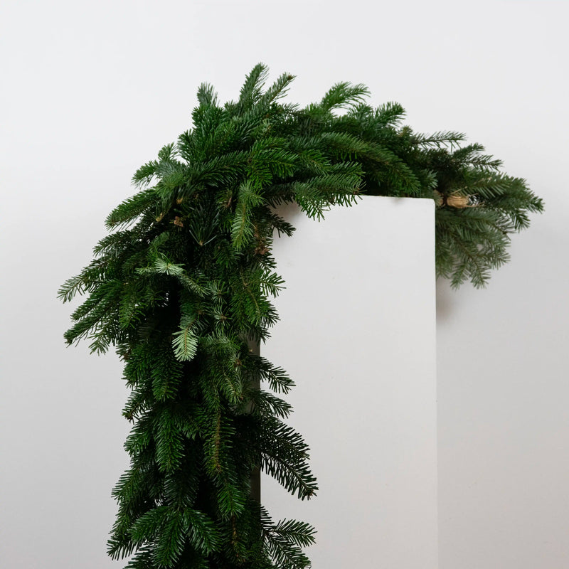Guirlande Sapin DEBEAULIEU