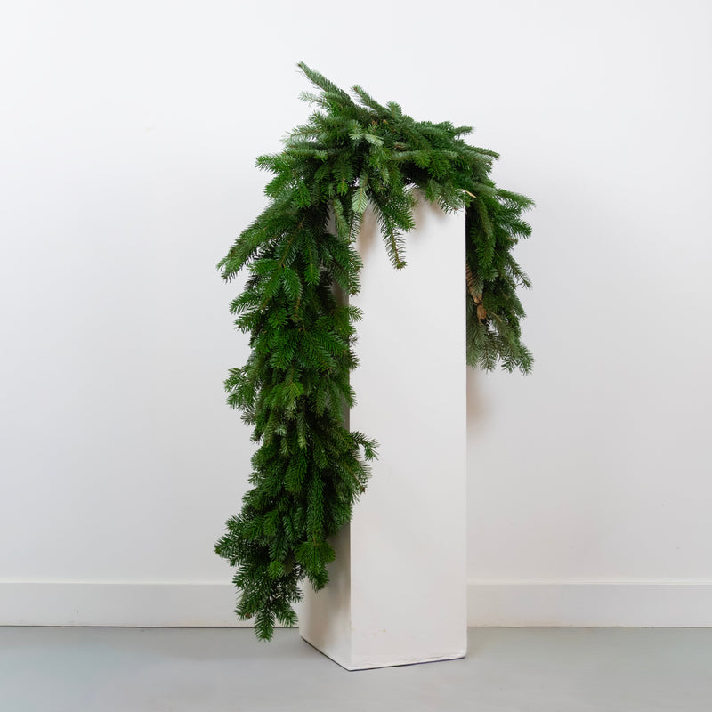 Guirlande Sapin DEBEAULIEU