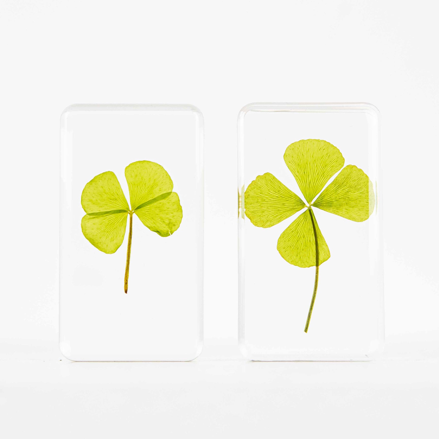 Résine trèfle à quatre feuilles DEBEAULIEU