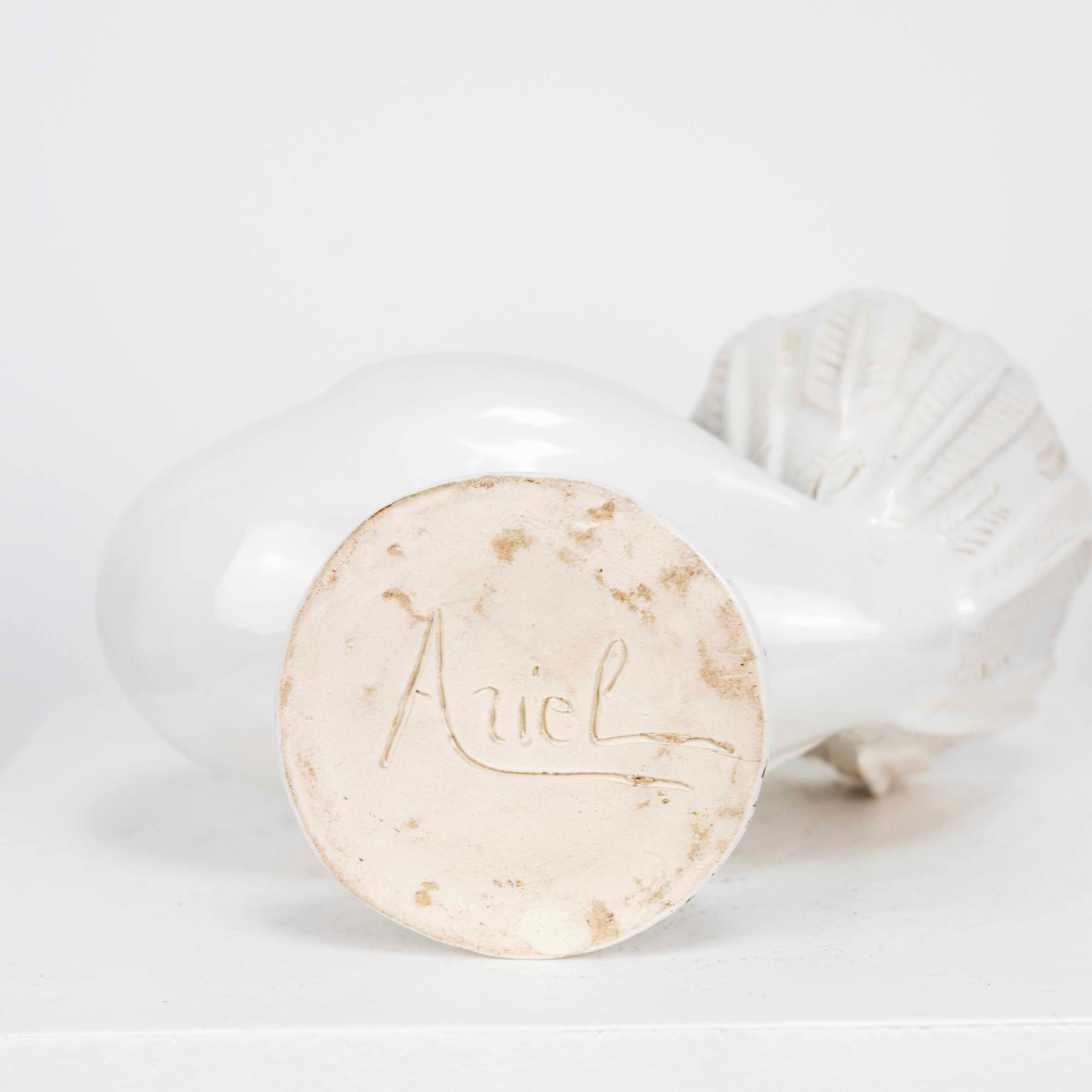 Coupe Blanche Colombe Debeaulieu