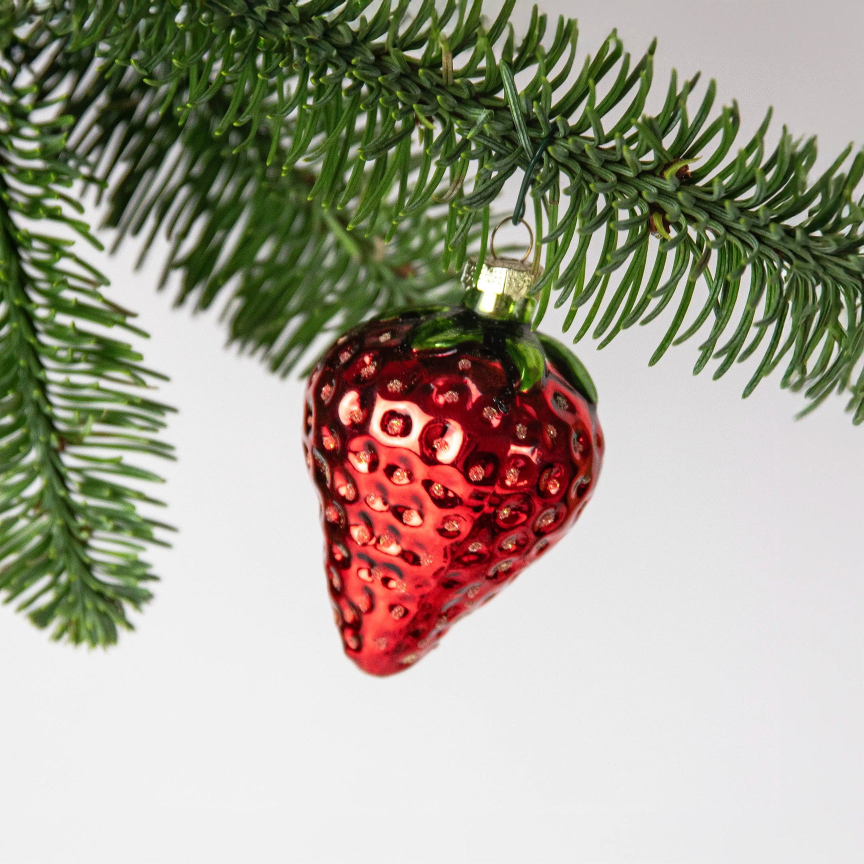 Fraise Maestro Shishi