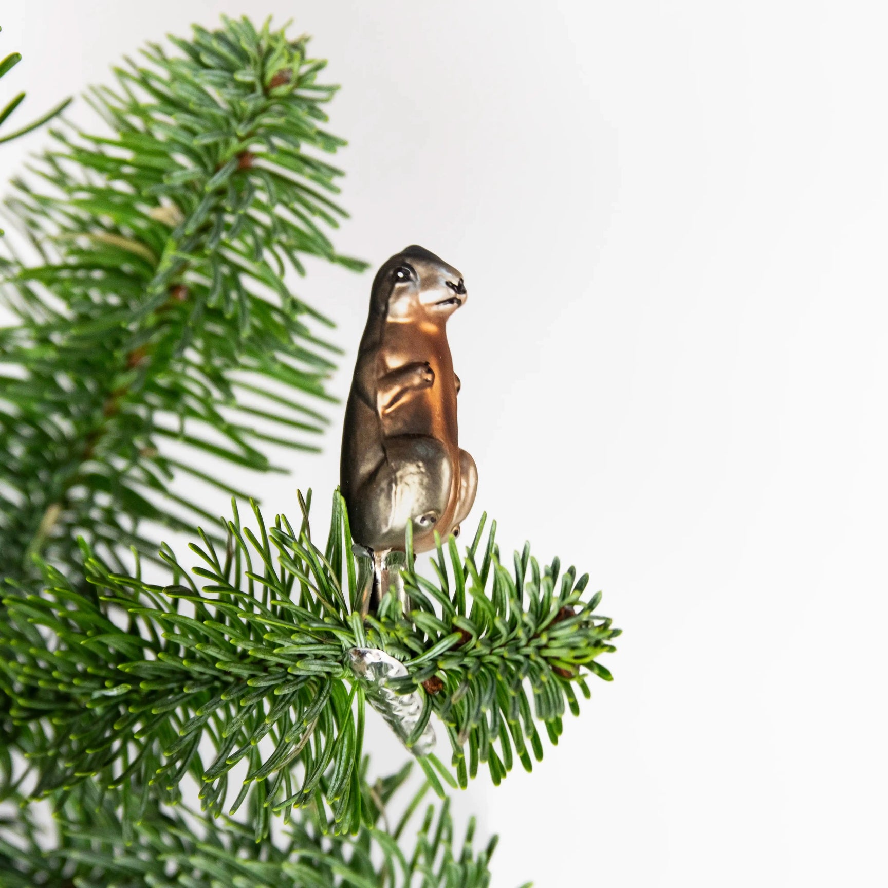 Petite marmotte GLASBLASEREI THURINGE