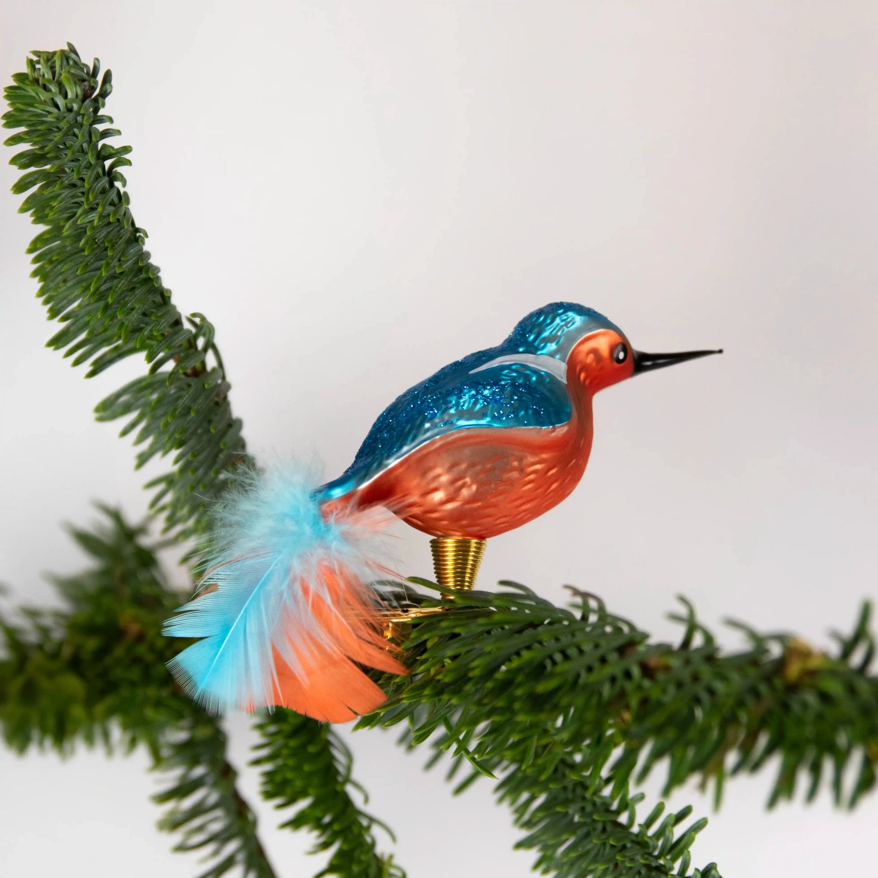 Colibri orange et bleu ANVA Handelsges mbH