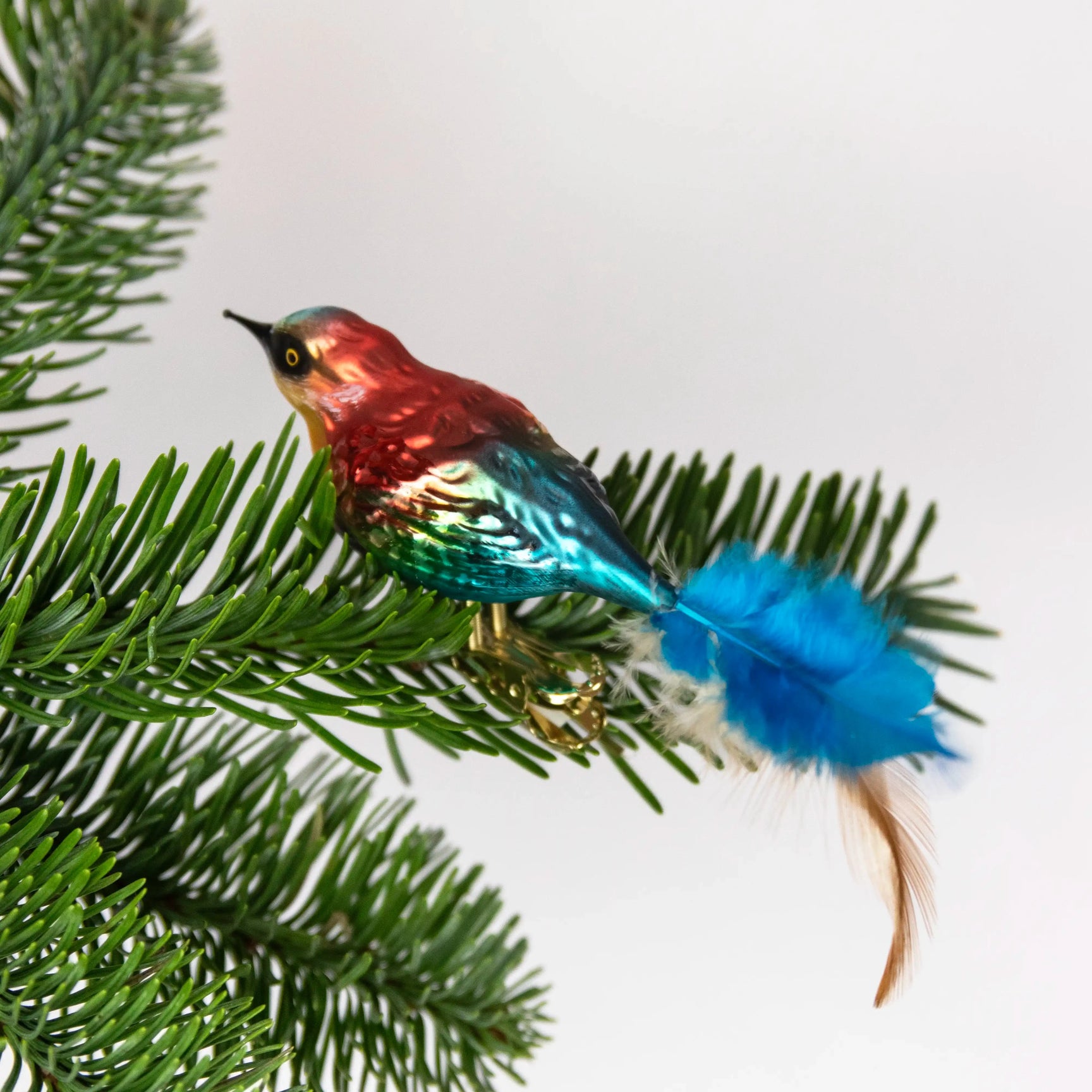 Oiseau multicolor ANVA Handelsges mbH