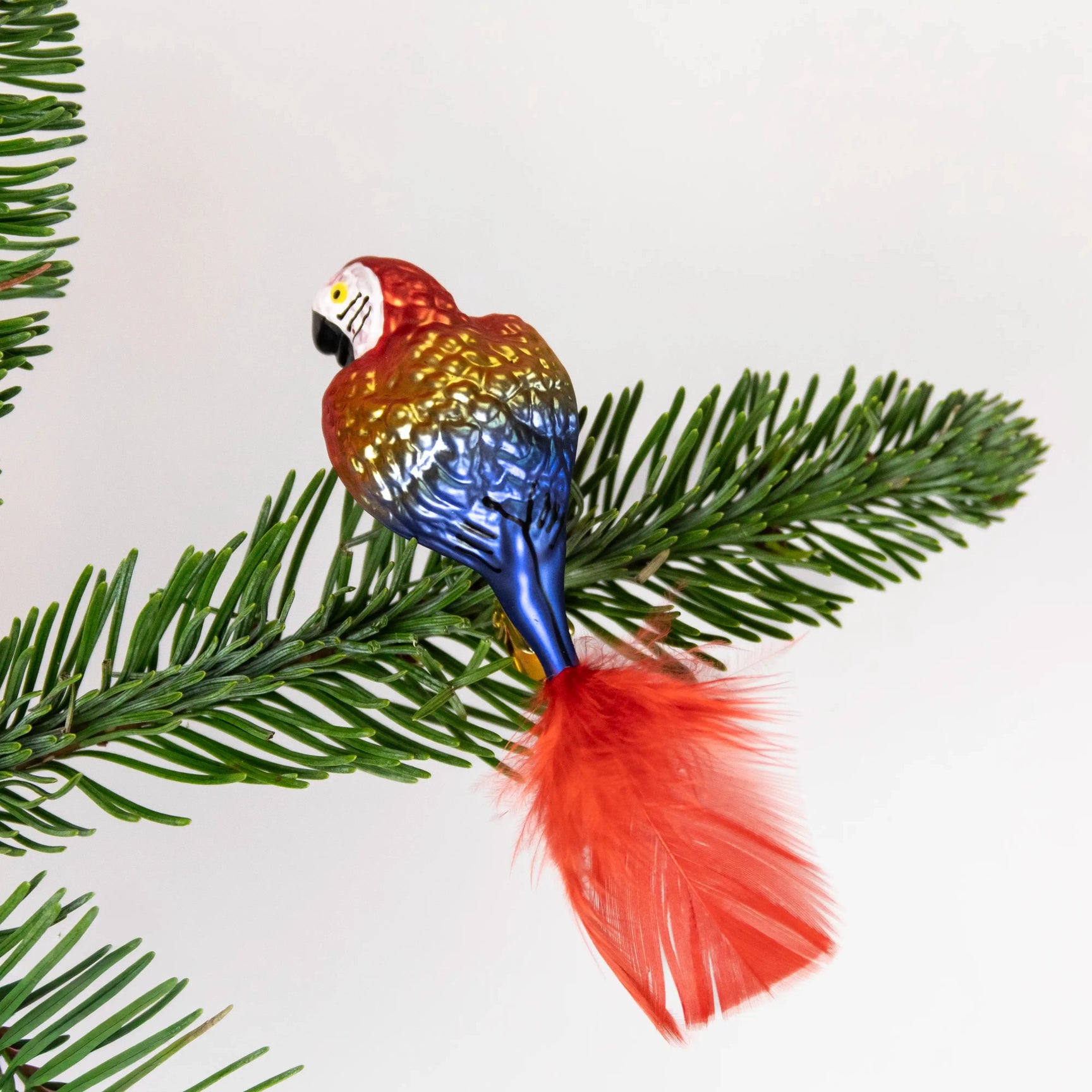 Perroquet rouge et bleu ANVA Handelsges mbH