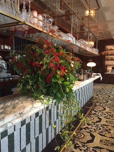 PARFUM MEDITERRANEEN