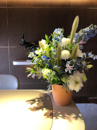 SPRING ! VAN CLEEF & ARPELS FETE LE PRINTEMPS ! ( MARS 19)