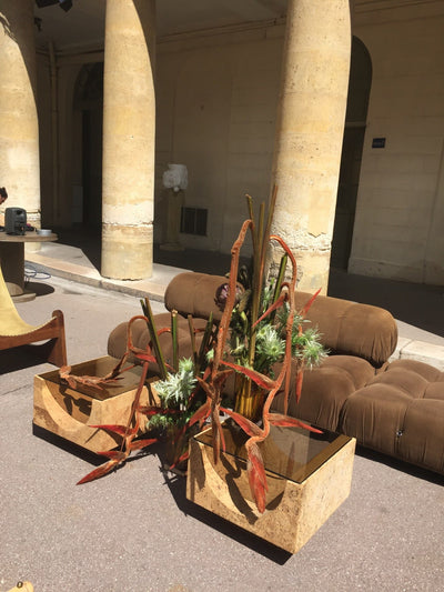 PRESENTATION NANUSHKA